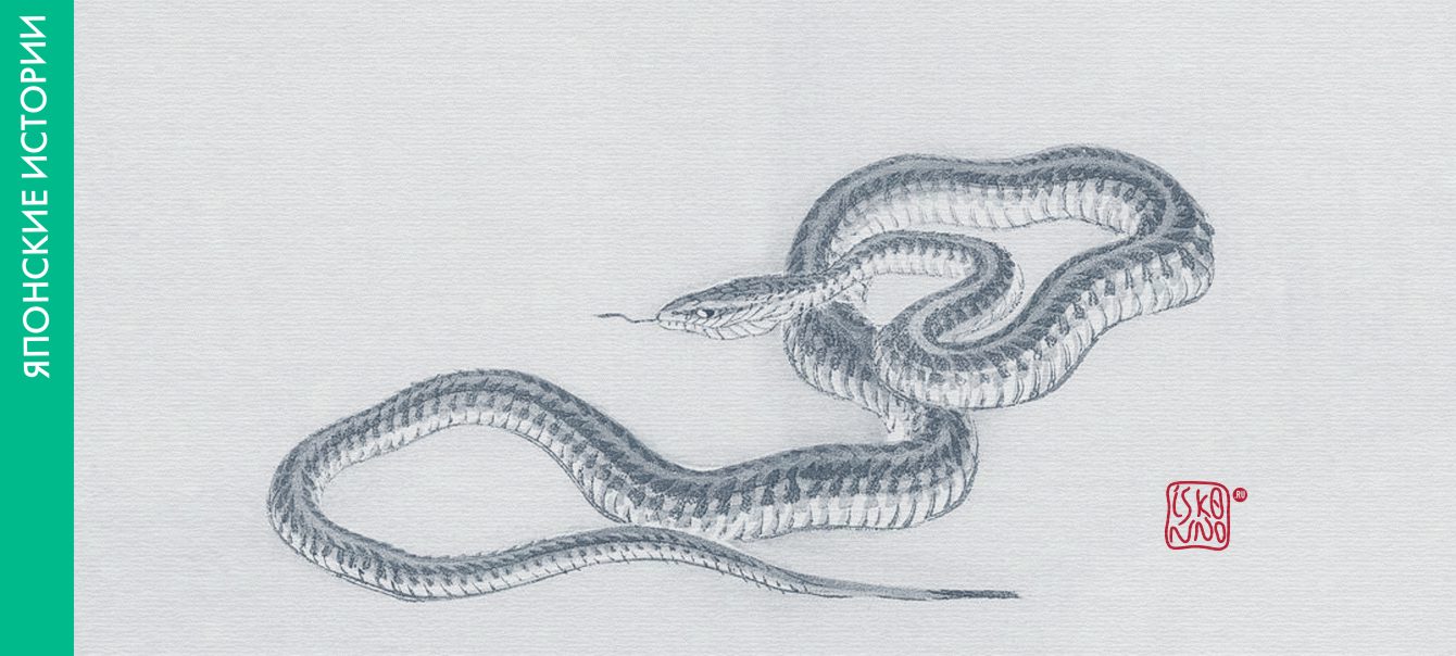 Японская сказка «Судьбоносная змея»