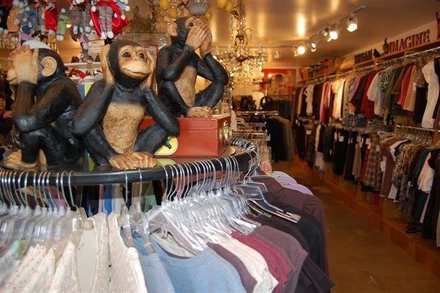 Интерьер магазина «3 Monkeys Portland Oregon»