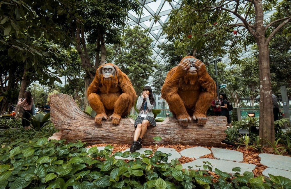 Фигуры орангутанов в парке
