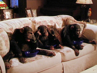 Кадр из эпизода сериала «Зачарованные» с тремя обезьянами