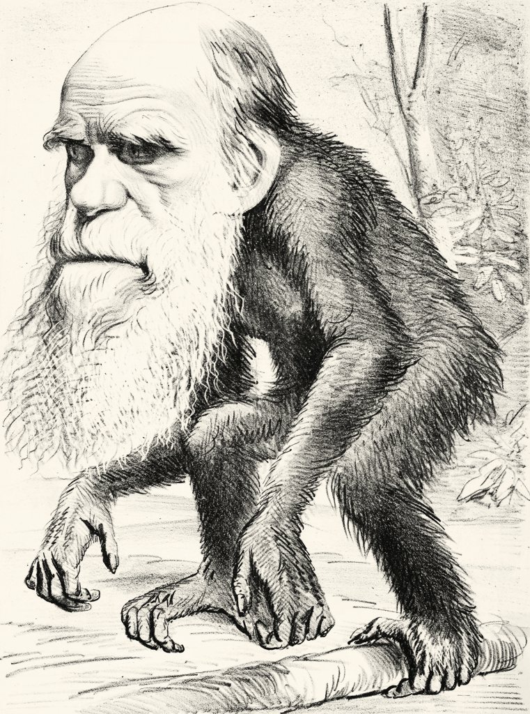Антиэволюционистская карикатура, представляющая Чарлза Дарвина в виде обезьяны