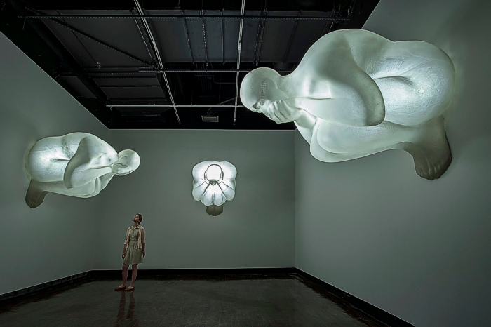 Инсталляция «Среди мечты», Жауме Пленса. Первый центр визуального искусства, Нэшвилль, Теннесси, США, 2010 г.