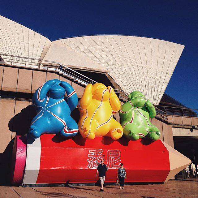 Три обезьяны перед Сиднейским оперным театром