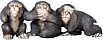 thethreemonkeys.com