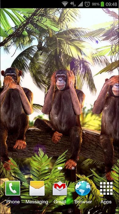      « » «Three Wise Monkeys 3D»