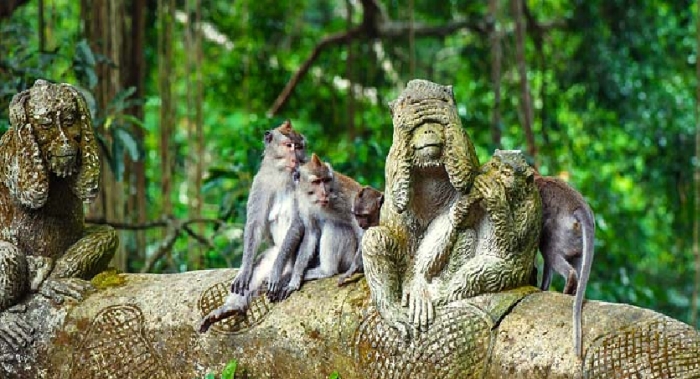 Яванские макаки на скульптурной композиции с тремя обезьянами в Лесу обезьян в Убуде (о. Бали, Индонезия)